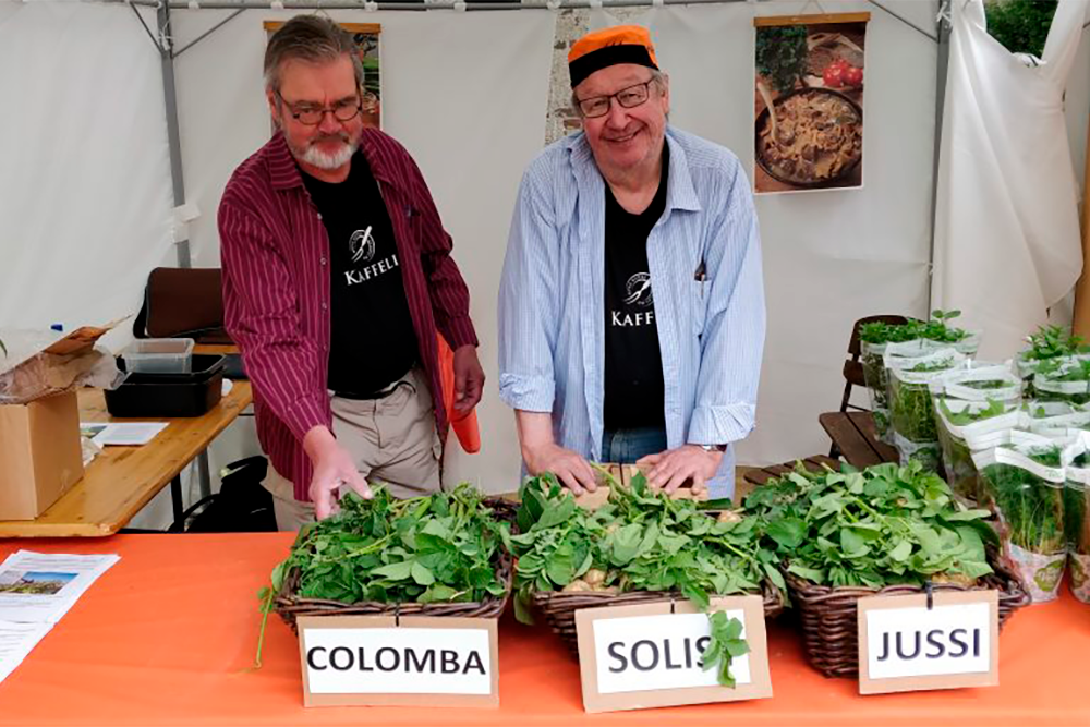 Neitsytperunafestivaaleilla 2019 Kimmo Peruna ja Sassu Peruna myivät Colomboa, Solistia ja Jussia. Kuva: Kaffeli ry