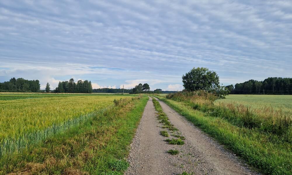 Tie maaseudulla. MTK Materiaalipankki 