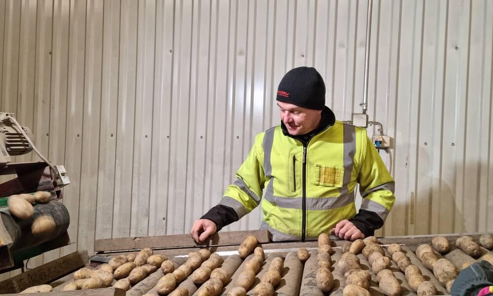 Peruna. Kuva: Henri Uotila