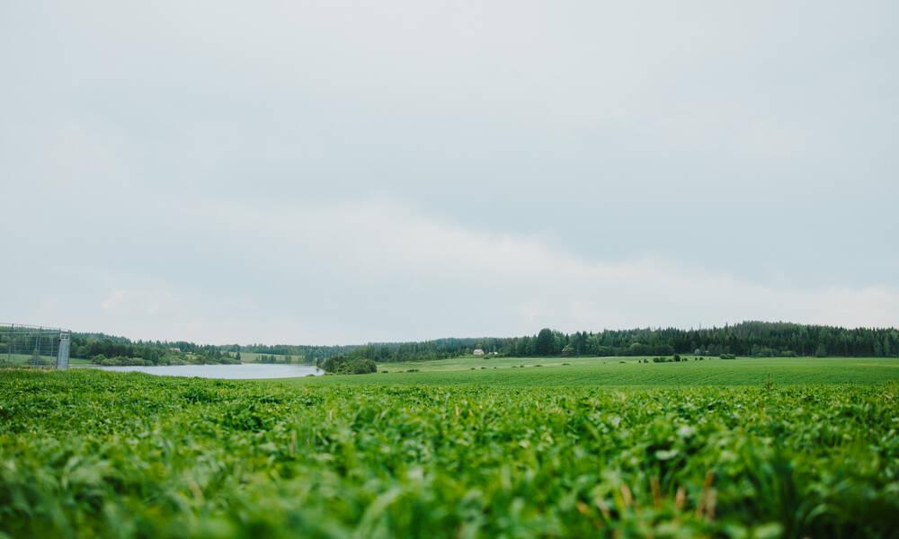 Päättäjien on pidettävä kiinni Suomen vahvuuksista ja kasvumahdollisuuksista.