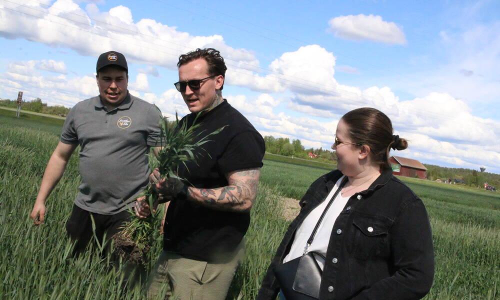 Vasemmalta Teemu Junttila, Simo Harrivaara ja Janika Tiensuu. 