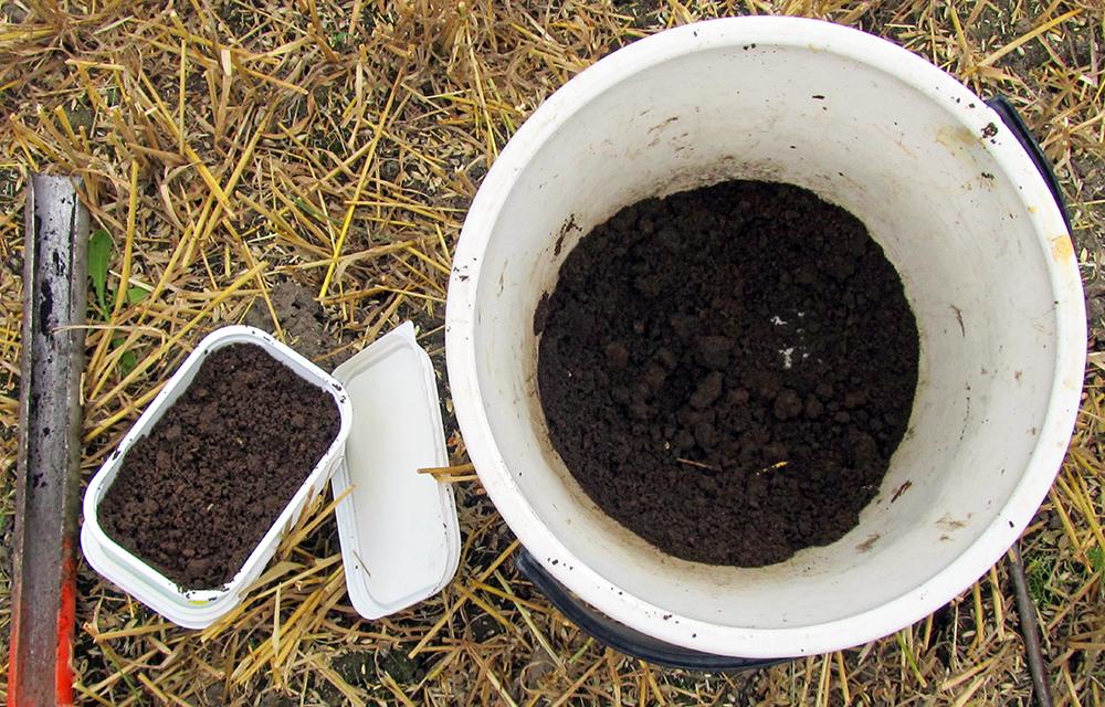 Maanäytteet viljavuusanalyysiin kerätään pellolta useasta eri kohtaa. Kuva: A. Kulmala